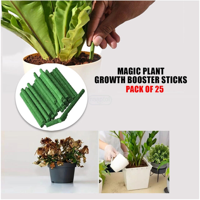 Plant Sticks Green Fertilizer Sticks 25pcs (Pack of 1)